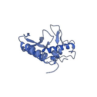 28179_8eje_c_v1-0
Structure of lineage II Lassa virus glycoprotein complex (strain NIG08-A41)