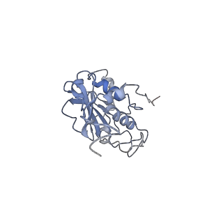 28180_8ejf_A_v1-0
Structure of lineage V Lassa virus glycoprotein complex (strain Soromba-R)