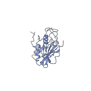 28180_8ejf_B_v1-0
Structure of lineage V Lassa virus glycoprotein complex (strain Soromba-R)