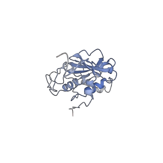 28180_8ejf_C_v1-0
Structure of lineage V Lassa virus glycoprotein complex (strain Soromba-R)