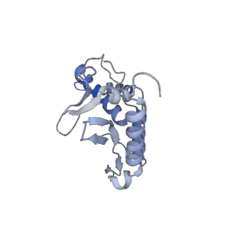 28180_8ejf_a_v1-0
Structure of lineage V Lassa virus glycoprotein complex (strain Soromba-R)
