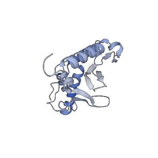 28180_8ejf_b_v1-0
Structure of lineage V Lassa virus glycoprotein complex (strain Soromba-R)