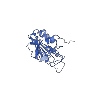 28181_8ejg_A_v1-0
Structure of lineage VII Lassa virus glycoprotein complex (strain Togo/2016/7082)