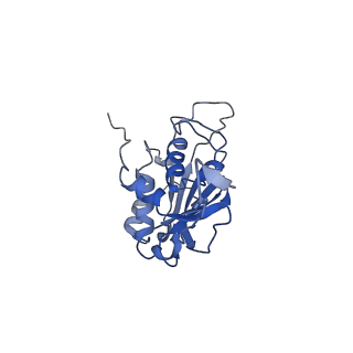 28181_8ejg_B_v1-0
Structure of lineage VII Lassa virus glycoprotein complex (strain Togo/2016/7082)