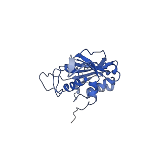 28181_8ejg_C_v1-0
Structure of lineage VII Lassa virus glycoprotein complex (strain Togo/2016/7082)