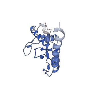 28181_8ejg_a_v1-0
Structure of lineage VII Lassa virus glycoprotein complex (strain Togo/2016/7082)