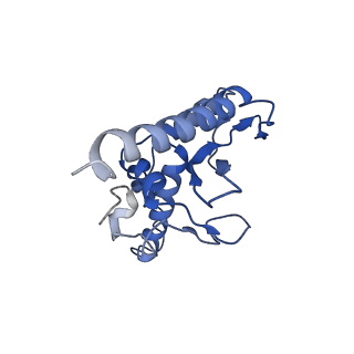 28181_8ejg_b_v1-0
Structure of lineage VII Lassa virus glycoprotein complex (strain Togo/2016/7082)