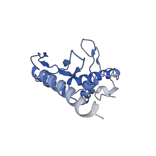 28181_8ejg_c_v1-0
Structure of lineage VII Lassa virus glycoprotein complex (strain Togo/2016/7082)