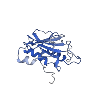 28182_8ejh_B_v1-0
Lassa virus glycoprotein complex (Josiah) bound to 12.1F Fab