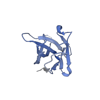 28182_8ejh_H_v1-0
Lassa virus glycoprotein complex (Josiah) bound to 12.1F Fab