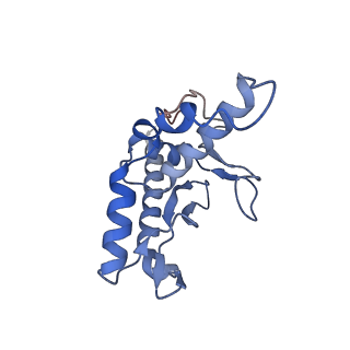 28182_8ejh_c_v1-0
Lassa virus glycoprotein complex (Josiah) bound to 12.1F Fab