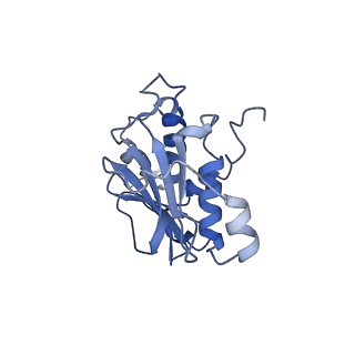 28183_8eji_A_v1-0
Lassa virus glycoprotein complex (Josiah) bound to 19.7E Fab