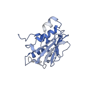 28183_8eji_B_v1-0
Lassa virus glycoprotein complex (Josiah) bound to 19.7E Fab