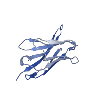 28183_8eji_H_v1-0
Lassa virus glycoprotein complex (Josiah) bound to 19.7E Fab