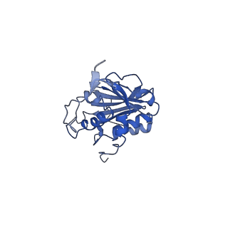 28184_8ejj_A_v1-0
Lassa virus glycoprotein complex (Josiah) bound to S370.7 Fab