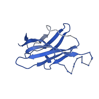 28184_8ejj_H_v1-0
Lassa virus glycoprotein complex (Josiah) bound to S370.7 Fab