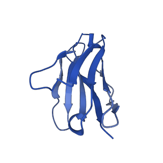 28184_8ejj_J_v1-0
Lassa virus glycoprotein complex (Josiah) bound to S370.7 Fab