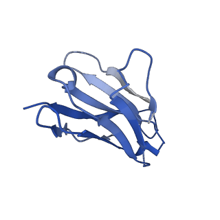 28184_8ejj_L_v1-0
Lassa virus glycoprotein complex (Josiah) bound to S370.7 Fab
