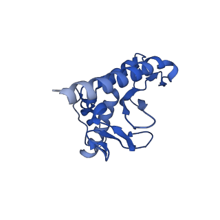 28184_8ejj_b_v1-0
Lassa virus glycoprotein complex (Josiah) bound to S370.7 Fab