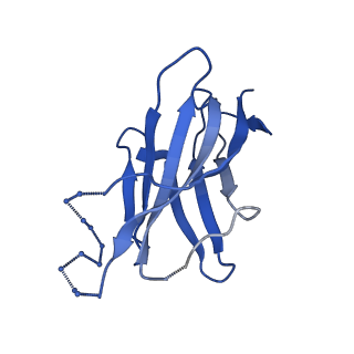 28184_8ejj_h_v1-0
Lassa virus glycoprotein complex (Josiah) bound to S370.7 Fab