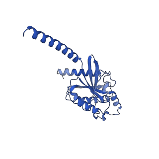 28185_8ejk_A_v1-1
Structure of FFAR1-Gq complex bound to TAK-875 in a lipid nanodisc