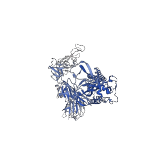 30669_7ej4_B_v1-0
Cryo-EM structure of SARS-CoV-2 spike in complex with a neutralizing antibody RBD-chAb-25