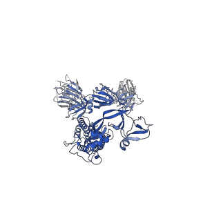 30669_7ej4_C_v1-0
Cryo-EM structure of SARS-CoV-2 spike in complex with a neutralizing antibody RBD-chAb-25