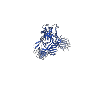 30670_7ej5_A_v1-0
Cryo-EM structure of SARS-CoV-2 spike in complex with a neutralizing antibody RBD-chAb-45