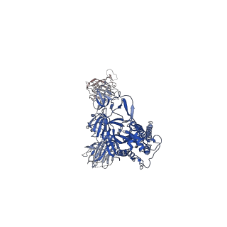 30670_7ej5_B_v1-0
Cryo-EM structure of SARS-CoV-2 spike in complex with a neutralizing antibody RBD-chAb-45