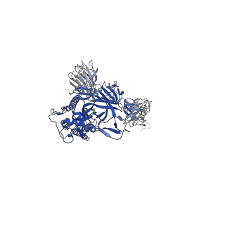 30670_7ej5_C_v1-0
Cryo-EM structure of SARS-CoV-2 spike in complex with a neutralizing antibody RBD-chAb-45