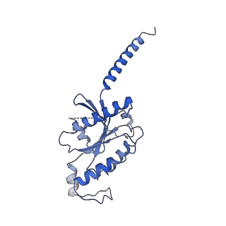 31147_7ej0_A_v1-1
Structure of the alpha2A-adrenergic receptor GoA signaling complex