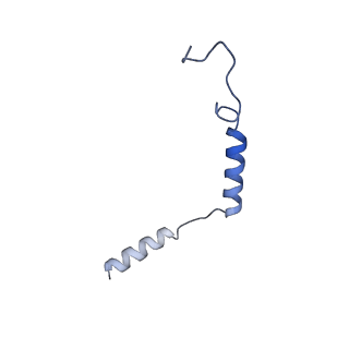 31147_7ej0_G_v1-1
Structure of the alpha2A-adrenergic receptor GoA signaling complex