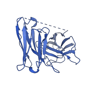 31147_7ej0_H_v1-1
Structure of the alpha2A-adrenergic receptor GoA signaling complex