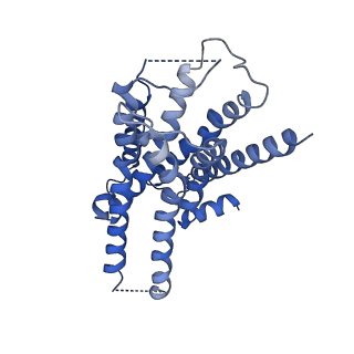 31147_7ej0_R_v1-1
Structure of the alpha2A-adrenergic receptor GoA signaling complex