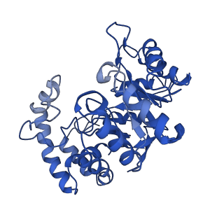 31149_7ej2_A_v1-0
human voltage-gated potassium channel KV1.3 H451N mutant