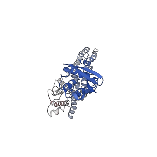 31149_7ej2_B_v1-0
human voltage-gated potassium channel KV1.3 H451N mutant
