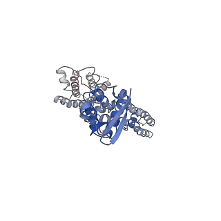 31149_7ej2_D_v1-0
human voltage-gated potassium channel KV1.3 H451N mutant