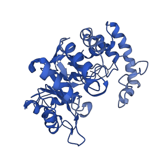 31149_7ej2_E_v1-0
human voltage-gated potassium channel KV1.3 H451N mutant