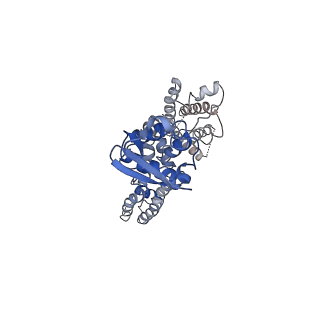 31149_7ej2_F_v1-0
human voltage-gated potassium channel KV1.3 H451N mutant
