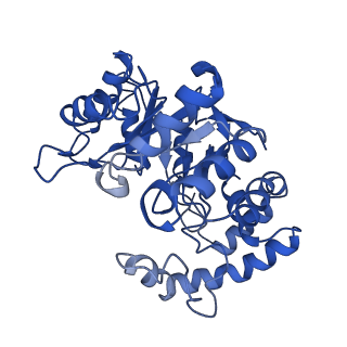 31149_7ej2_G_v1-0
human voltage-gated potassium channel KV1.3 H451N mutant