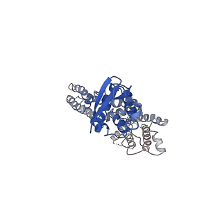 31149_7ej2_H_v1-0
human voltage-gated potassium channel KV1.3 H451N mutant
