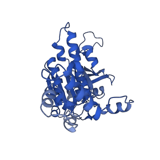 31153_7ej6_A_v1-0
Yeast Dmc1 presynaptic complex
