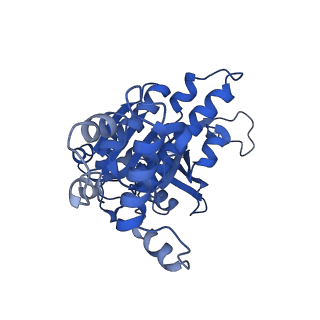 31153_7ej6_B_v1-0
Yeast Dmc1 presynaptic complex