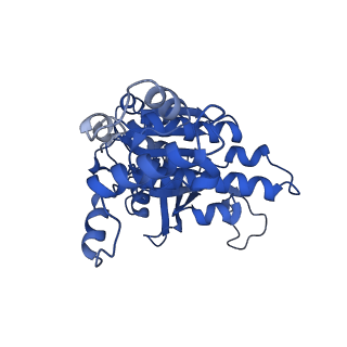 31153_7ej6_C_v1-0
Yeast Dmc1 presynaptic complex