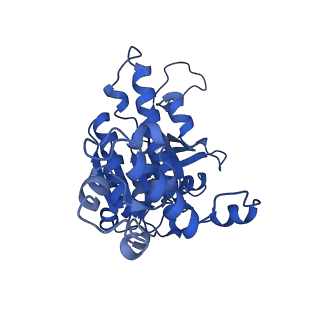 31154_7ej7_A_v1-0
Yeast Dmc1 post-synaptic complex