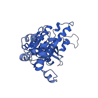 31154_7ej7_B_v1-0
Yeast Dmc1 post-synaptic complex
