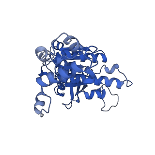 31154_7ej7_C_v1-0
Yeast Dmc1 post-synaptic complex
