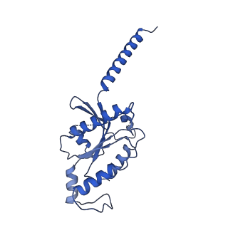 31156_7ej8_A_v1-1
Structure of the alpha2A-adrenergic receptor GoA signaling complex bound to brimonidine