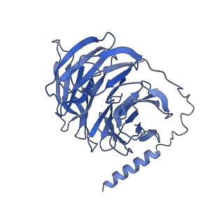 31156_7ej8_B_v1-1
Structure of the alpha2A-adrenergic receptor GoA signaling complex bound to brimonidine