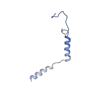 31156_7ej8_G_v1-1
Structure of the alpha2A-adrenergic receptor GoA signaling complex bound to brimonidine